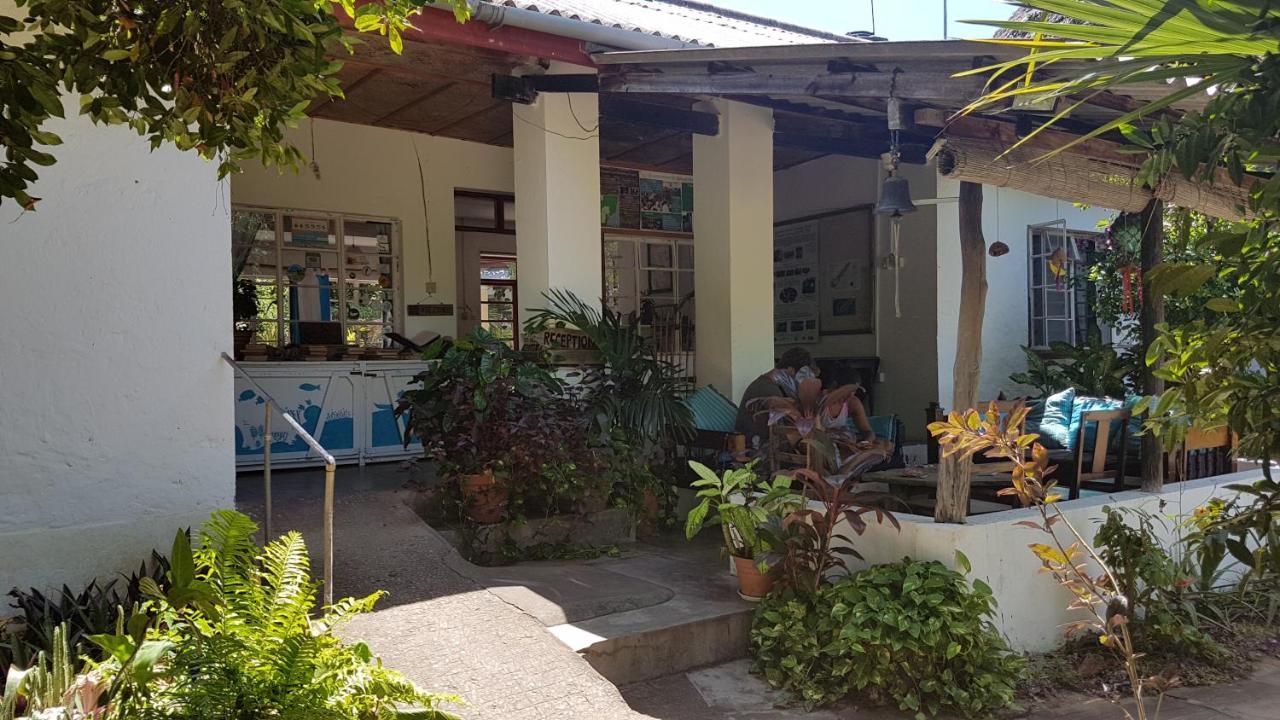 A Rocha Eco-Lodge & Conservation Centre واتامو المظهر الخارجي الصورة
